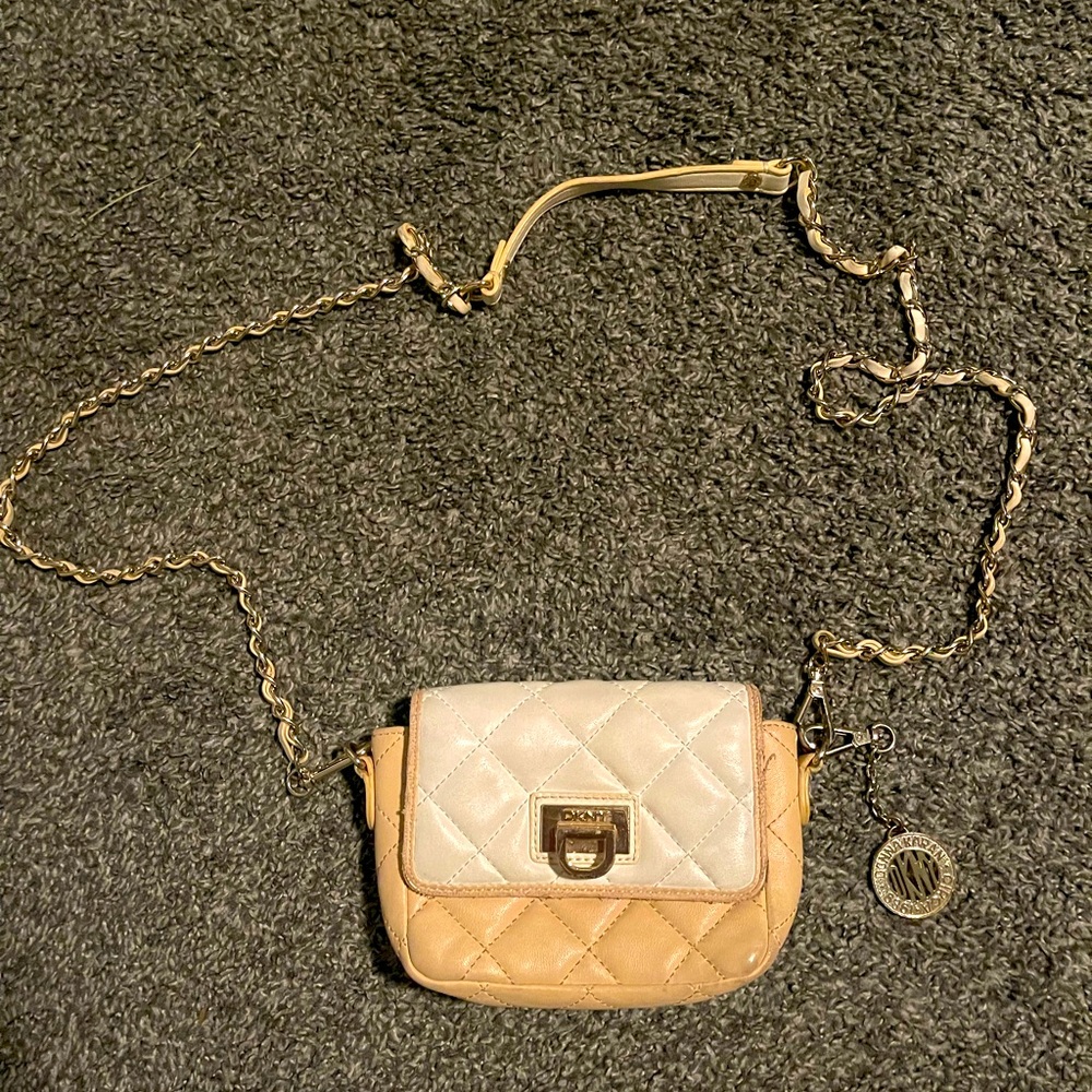 DKNY purse